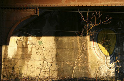 Vass: Nov 2010